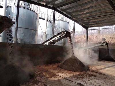 選購粉劑有機肥生產線，如何匹配產能與市場規(guī)劃？答案在這！